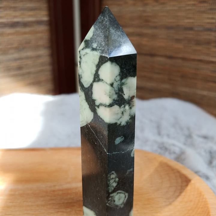 Chrysanthemum Stone Point
