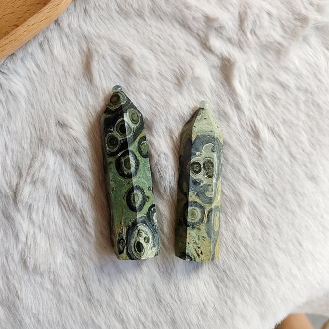 Kambaba Jasper Points