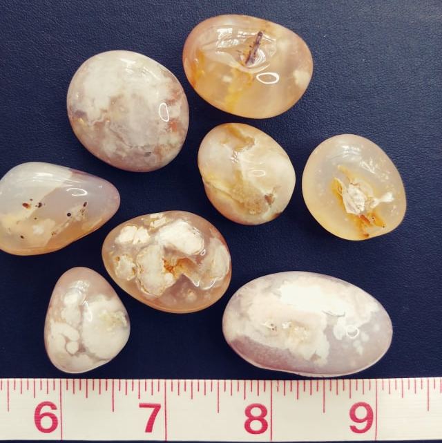 Flower Agate Jelly Bean Tumbles (3)*