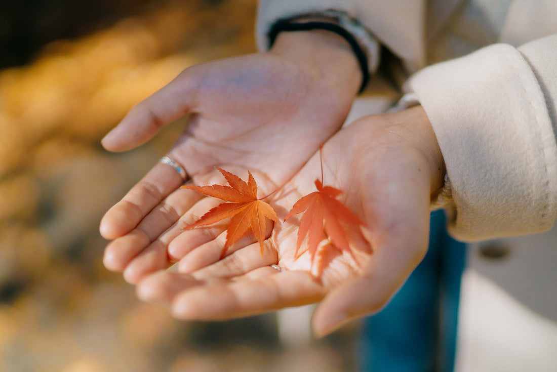 Ikigai: The Pursuit of Purpose in Life