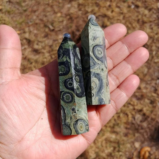 Kambaba Jasper Points