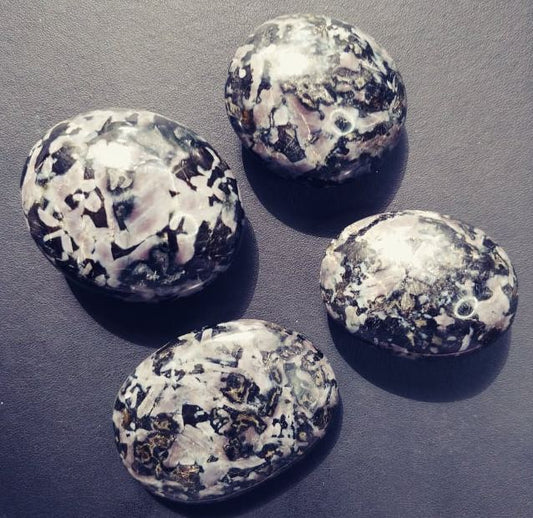 Merlinite (Indigo Gabbro) Palm Stone